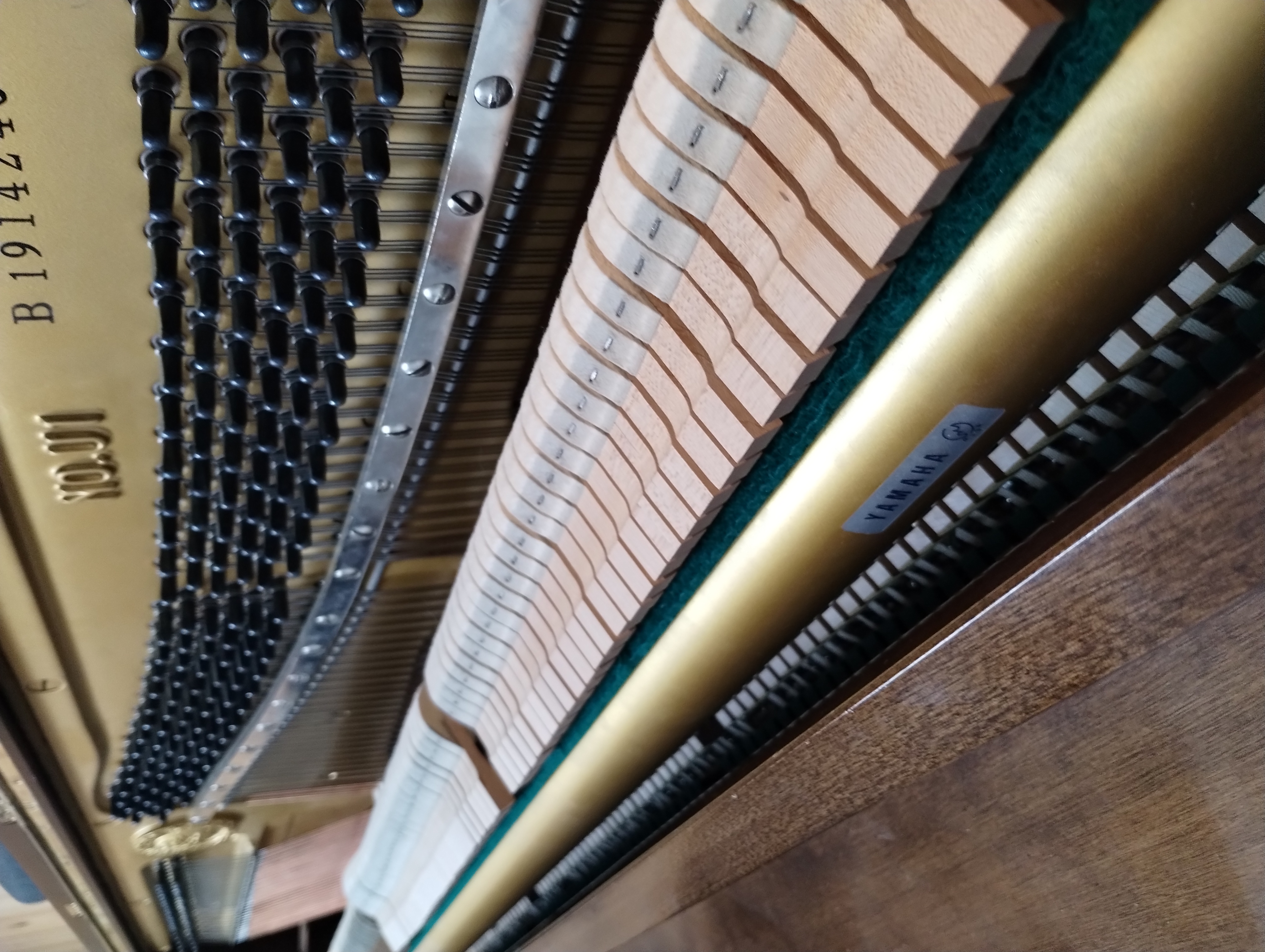 Yamaha U1 piano strings